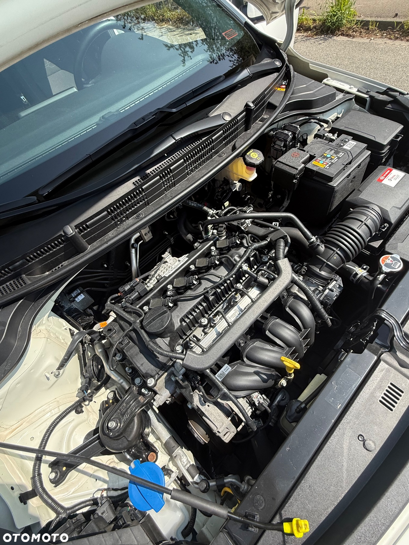 Kia Rio - 38