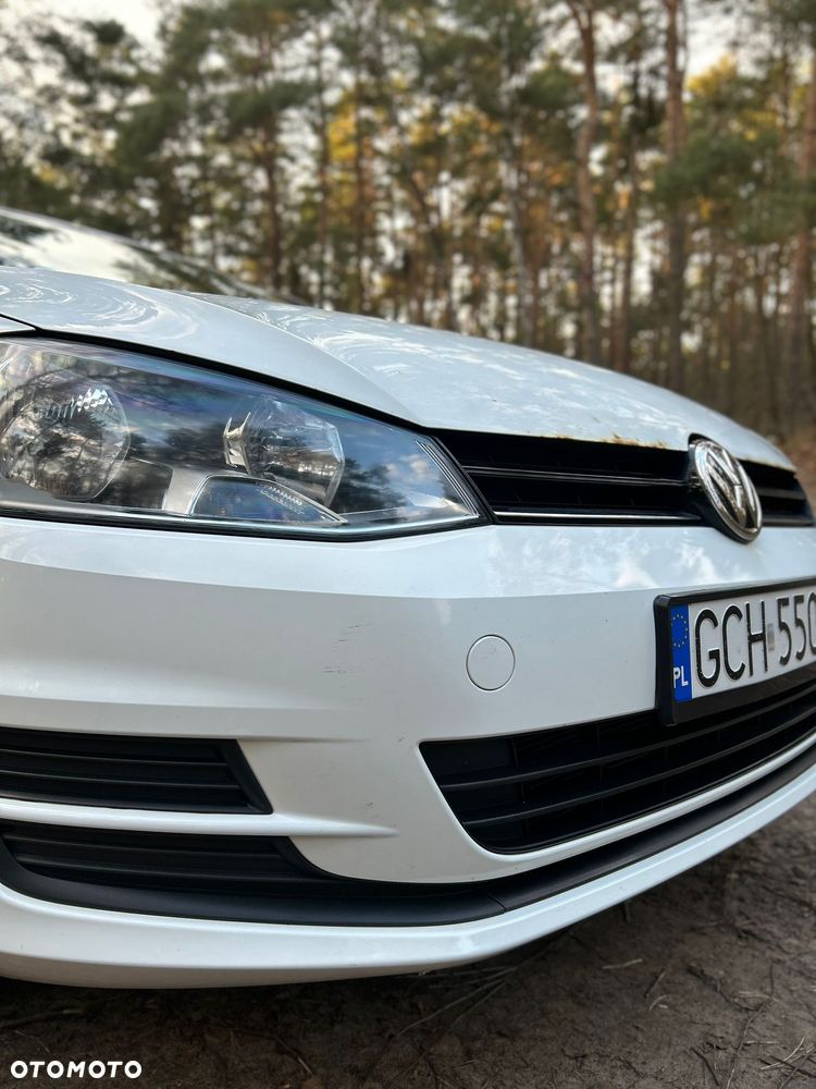 Volkswagen Golf - 28