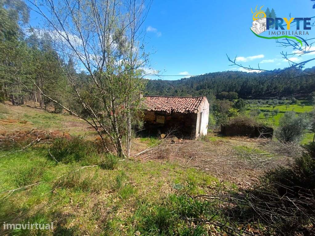 Ruínas com terreno situadas a 5 quilómetros da Vila da Sertã - Grande imagem: 2/20