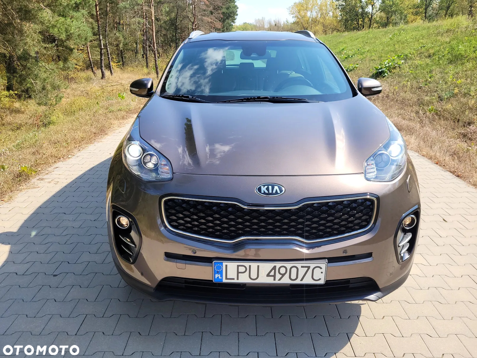 Kia Sportage 1.6 GDI 2WD Dream-Team Edition - 7