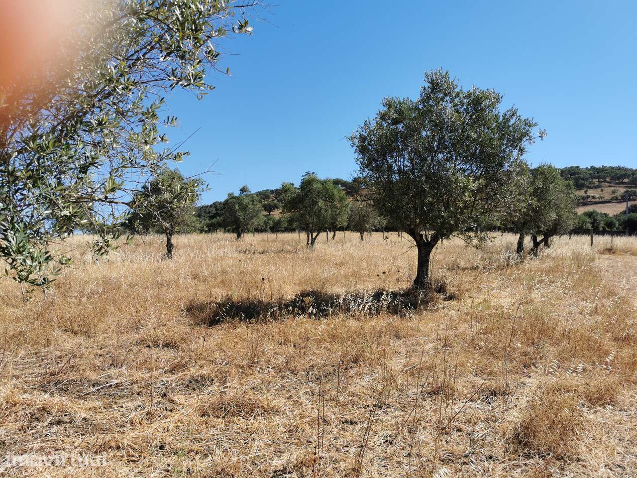 1 Hectare em Santiago do Escoural, Montemor-o-Novo, Évora - Grande imagem: 3/4