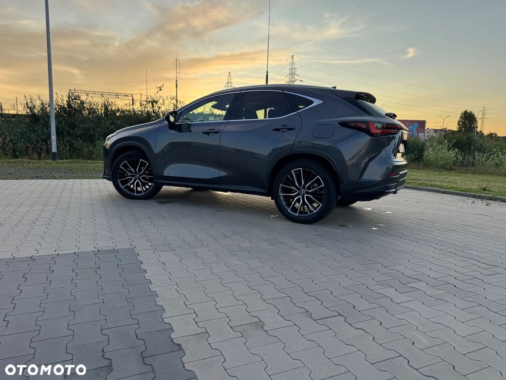 Lexus NX 350h Omotenashi AWD - 3