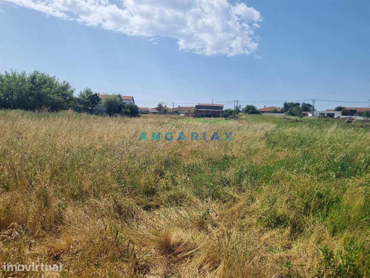 ANG1605 - Terreno para Venda em Maceira, Leiria - Grande imagem: 4/18