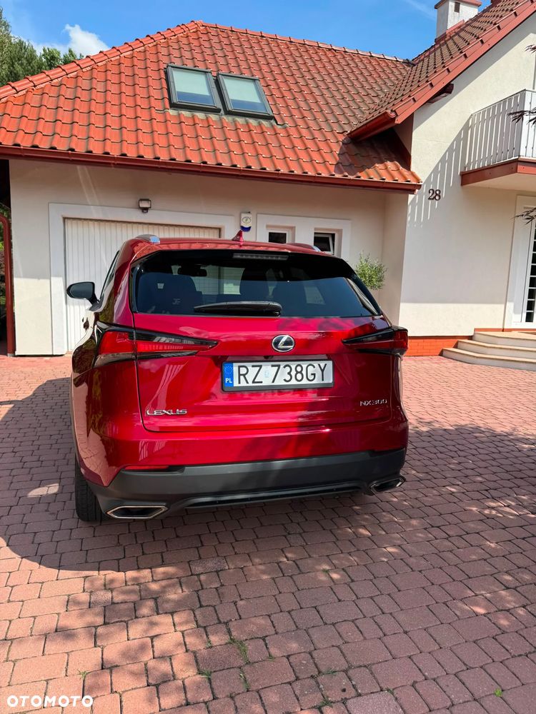 Lexus NX 300 AWD - 11