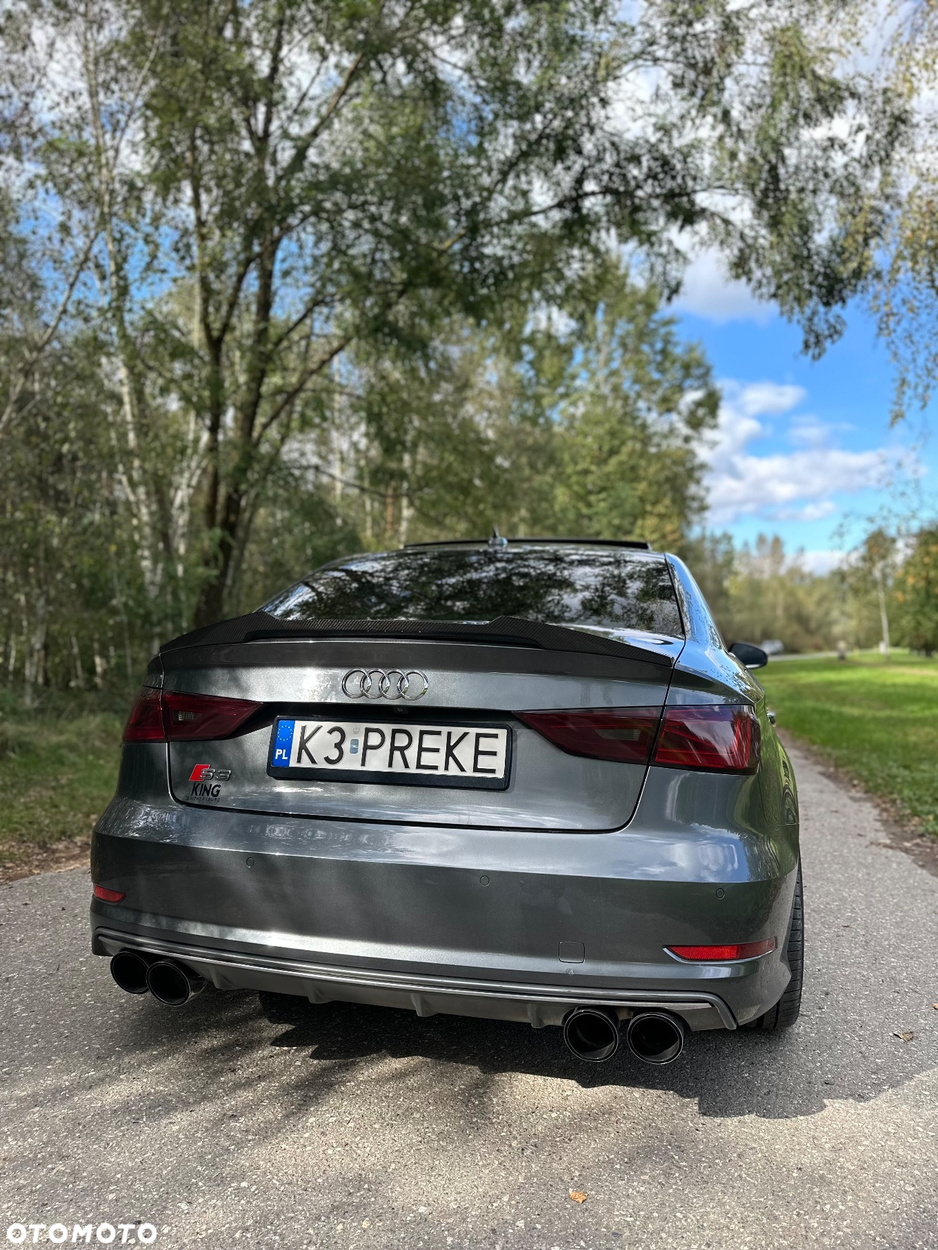 Audi S3 2.0 TFSI Quattro S tronic - 17