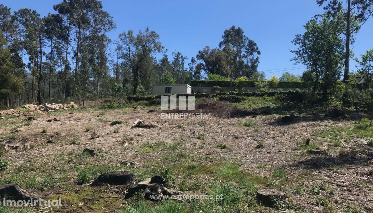 Terreno de construção para venda, Venade, Caminha - Grande imagem: 5/33