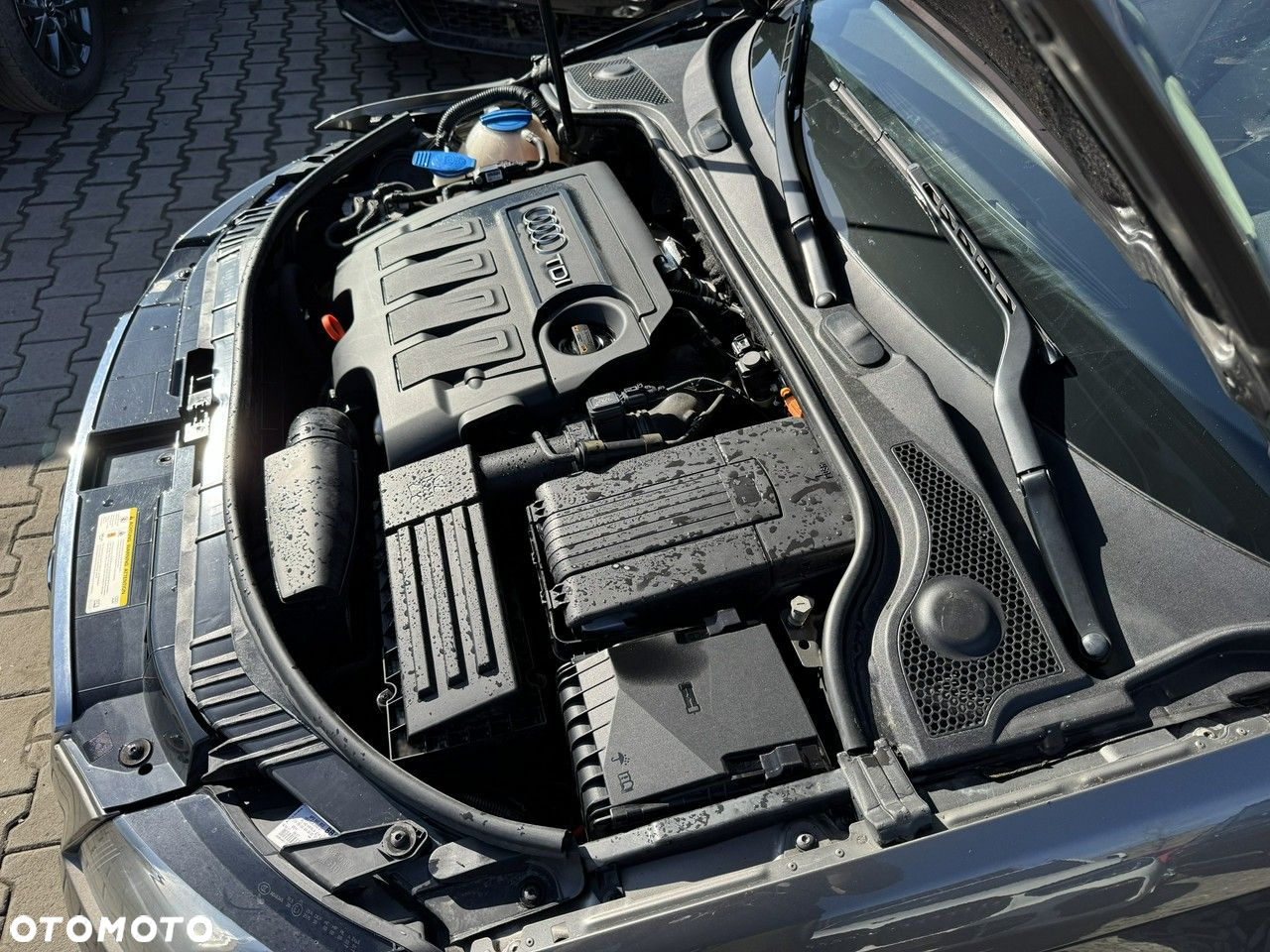Audi A3 1.6 TDI Ambition - 12