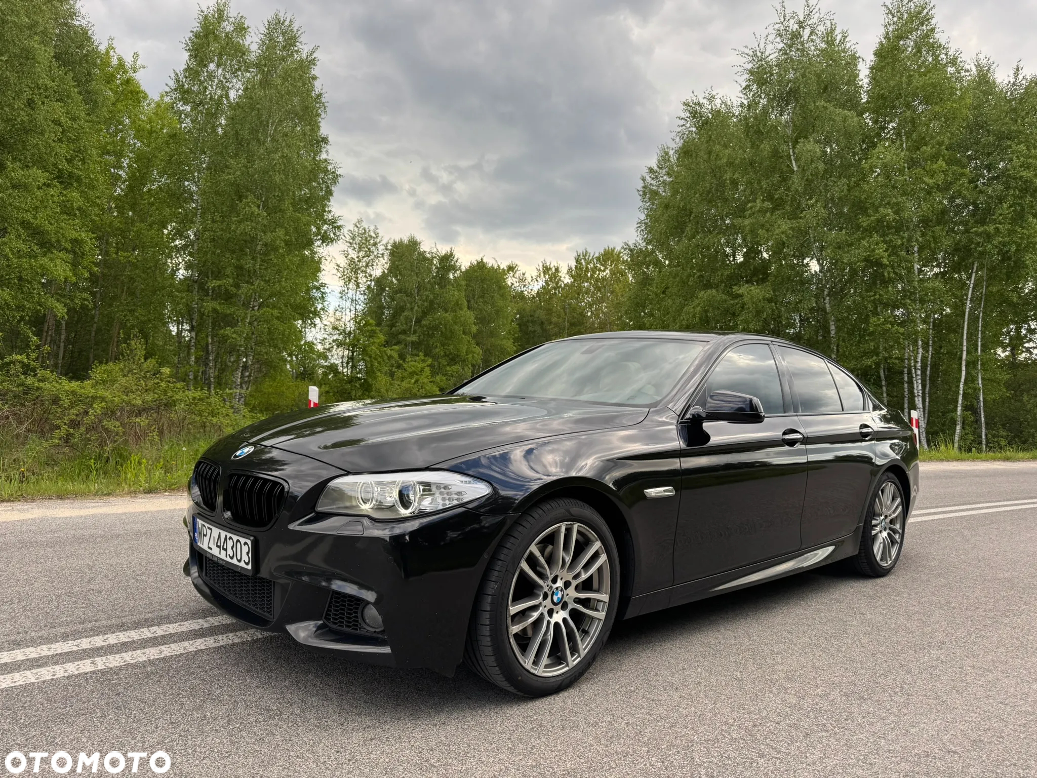 BMW Seria 5 528i xDrive - 8