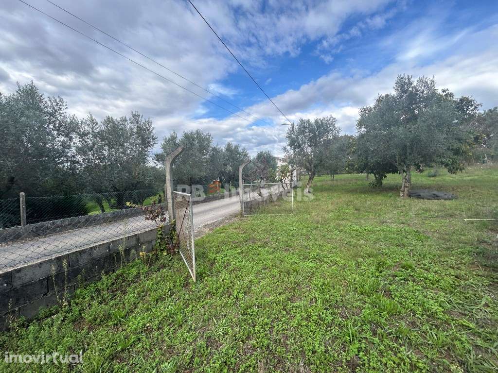 2 Terrenos Rústicos com PDM - Carril, Ferreira do Zêzere - Grande imagem: 5/21