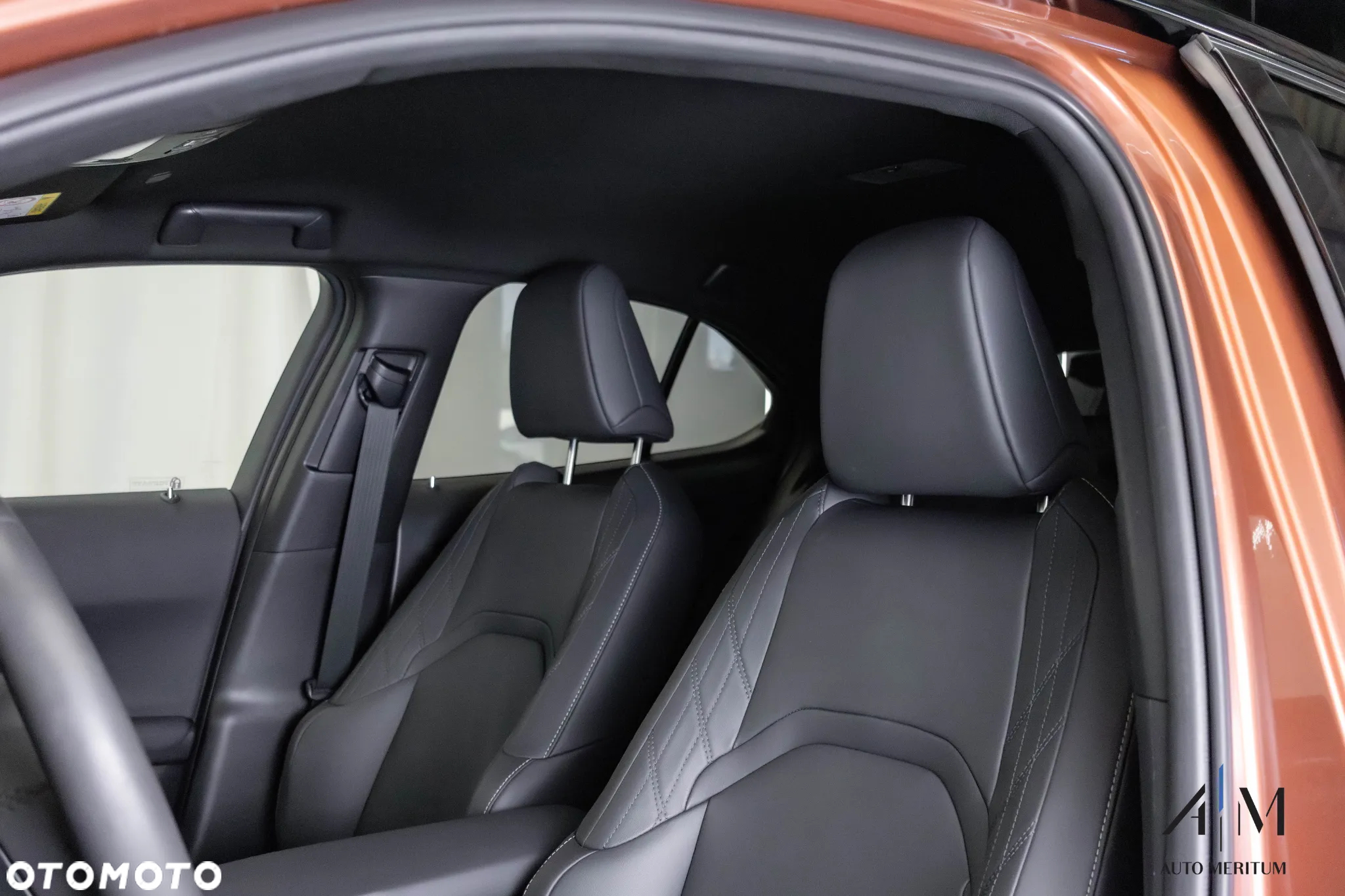 Lexus UX 300h F Sport Design AWD - 24