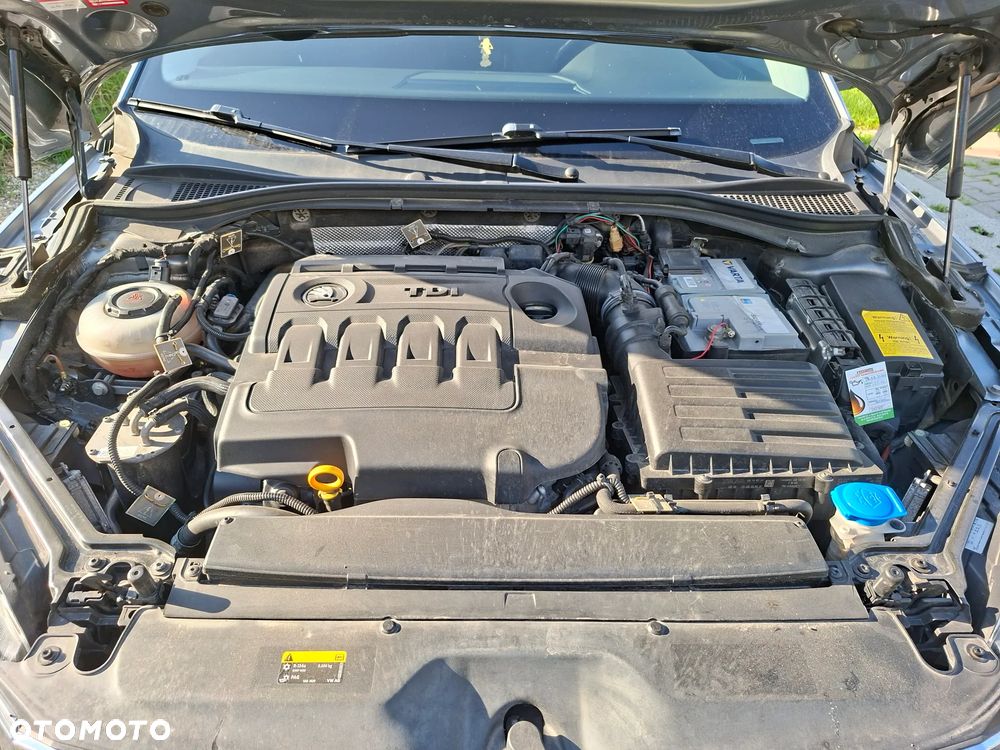 Skoda Superb 2019 photo 5