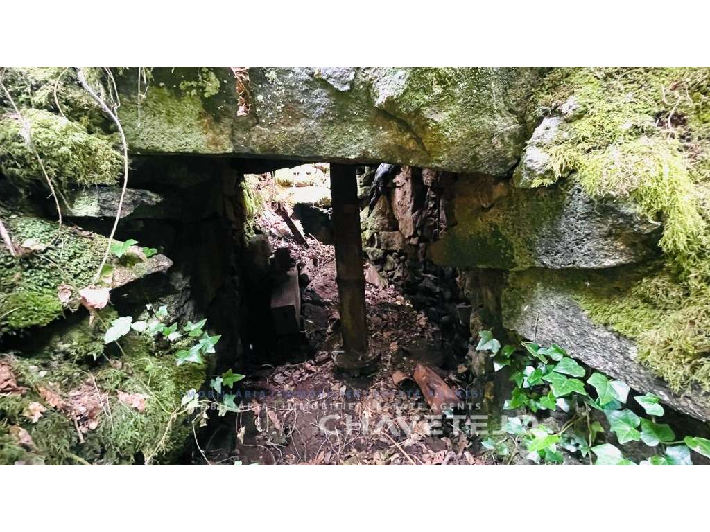 Ruina de Azenha à beira rio, suscetível para obras de conservação c... - Grande imagem: 5/25