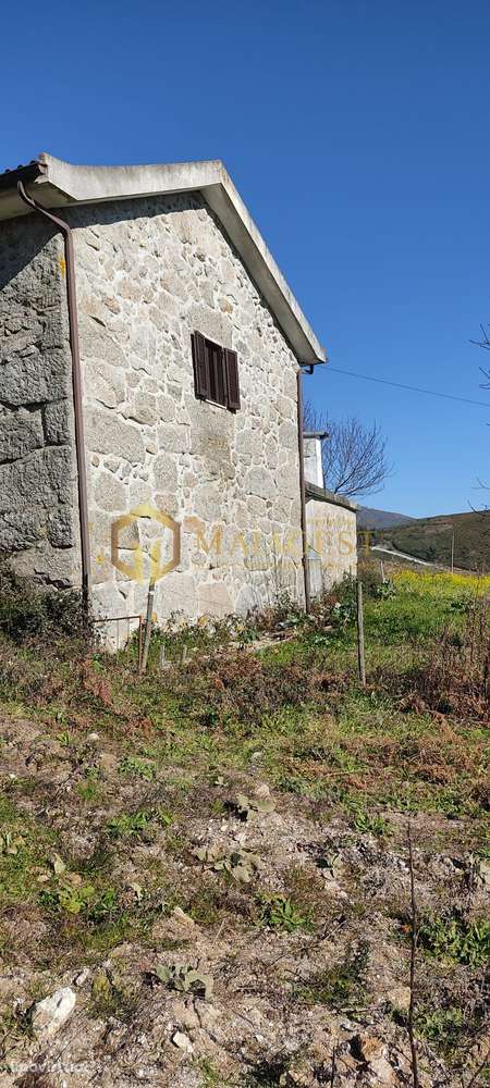 Quinta T5 em Baião para diversas atividades - Grande imagem: 4/22