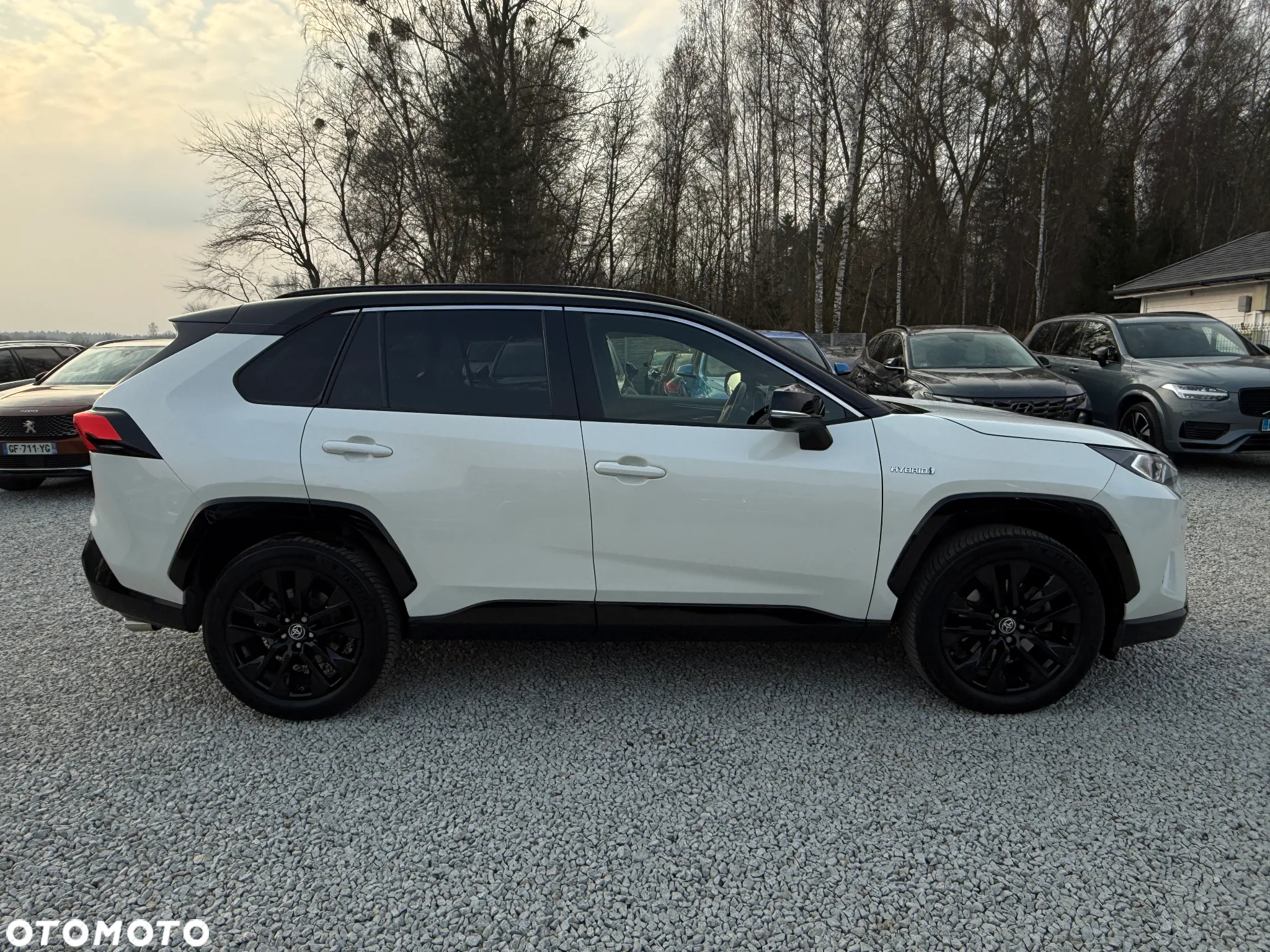 Toyota RAV4 2.5 4x4 Hybrid Club - 17