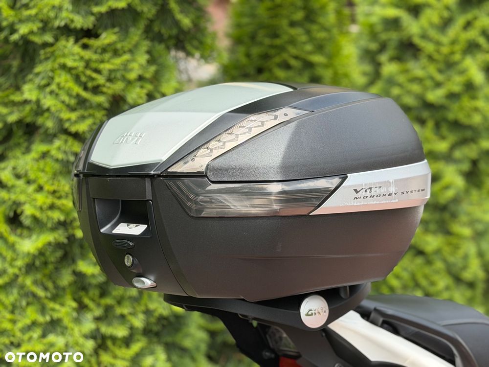 Triumph Tiger - 23
