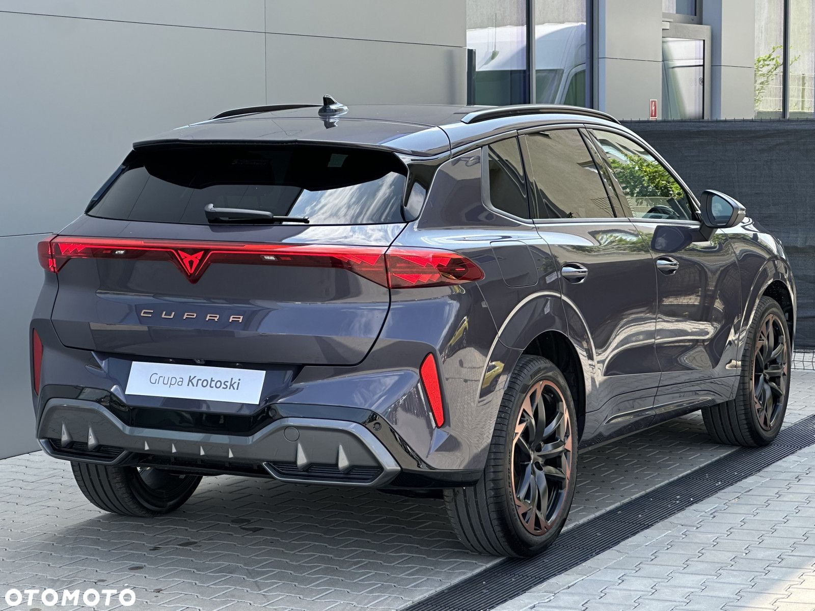 Cupra Terramar - 4