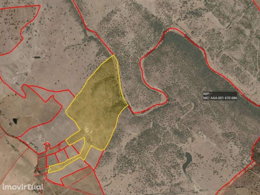 HERDADE EM PORTALEGRE FRONTEIRA - 65 HA COM 4.000 OLIVEIRAS | REGAD... - Grande imagem: 3/8