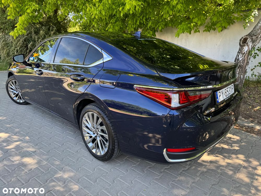 Lexus ES 300h Omotenashi - 2