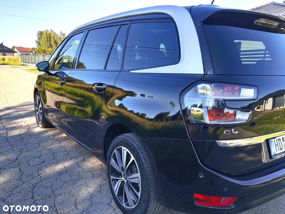 Citroën C4 Grand Picasso BlueHDi 150 EAT6 SHINE - 12