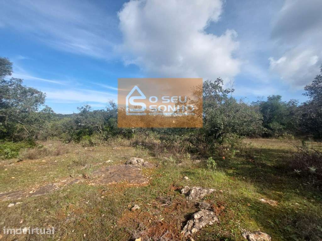 Terreno Rústico com 13.600 m² - Grande imagem: 3/11