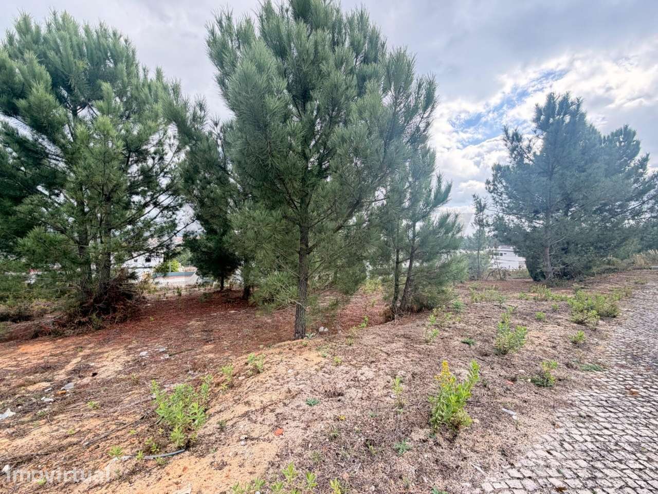 Lote de Terreno para contrução - Rio Maior - - Grande imagem: 2/10