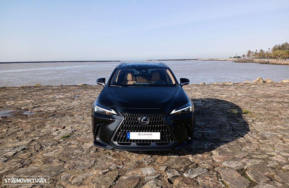 Lexus NX 450h+ - 10