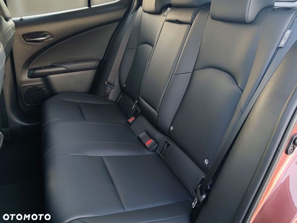 Lexus UX 300h F Sport Design - 15