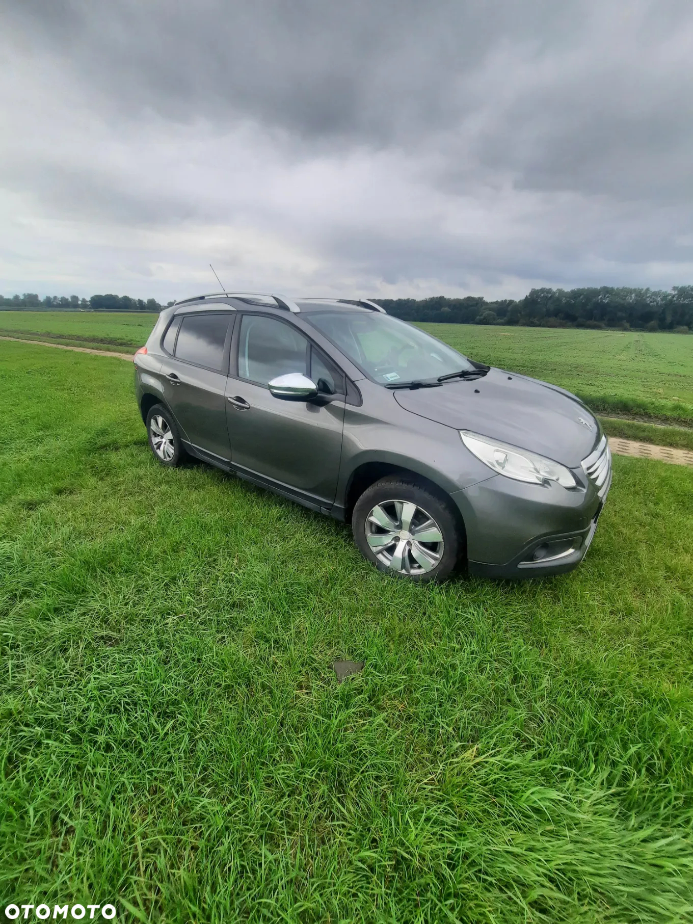 Peugeot 2008 - 3
