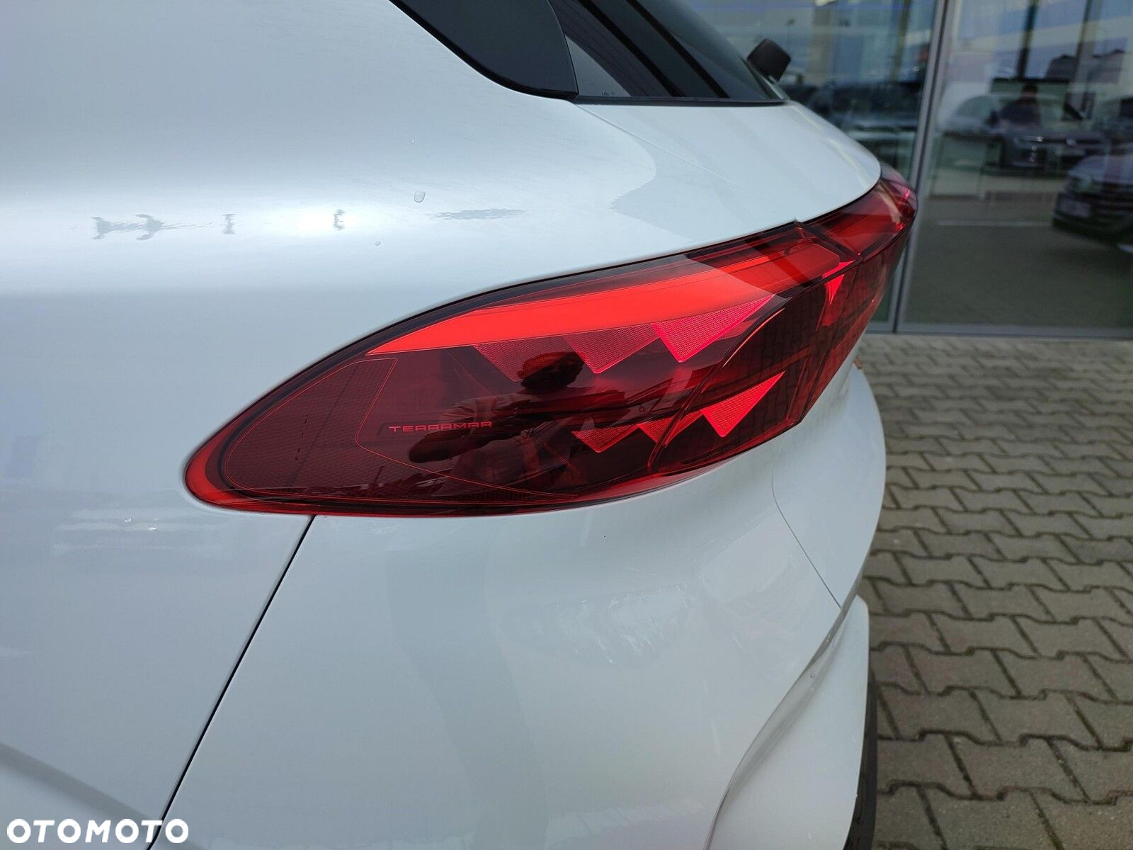Cupra Terramar - 19