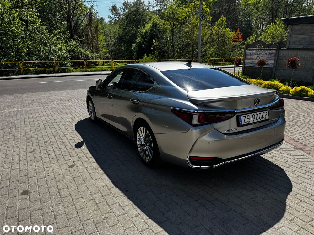Lexus ES 300h Omotenashi - 8