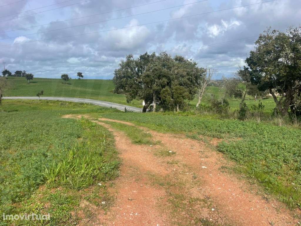 Terreno Rústico Venda Sines - Grande imagem: 3/19