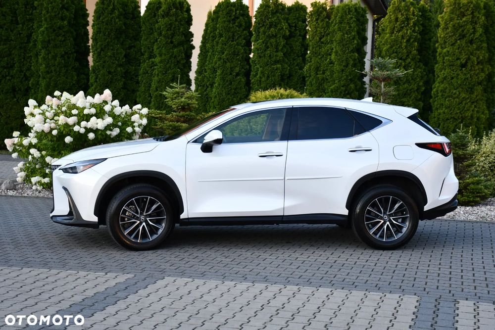 Lexus NX - 7