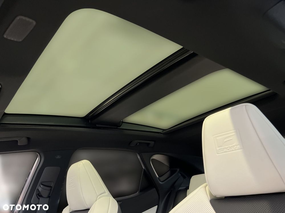 Lexus NX 350h F Sport AWD - 21