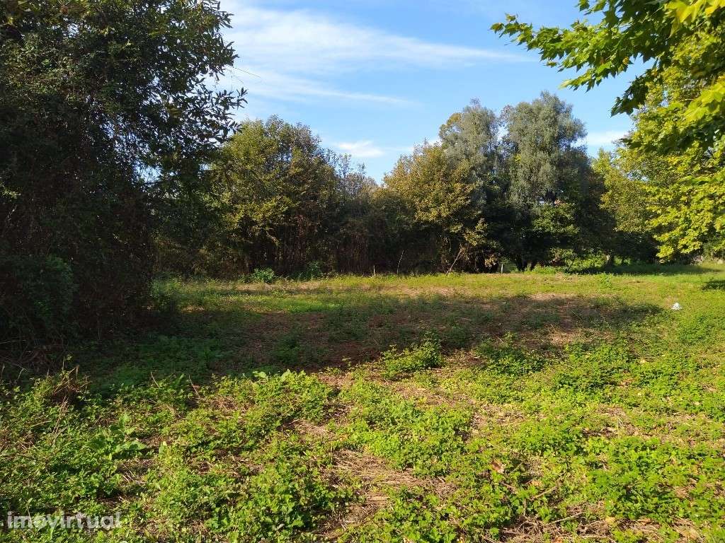 Terreno Agrícola - Fiscal - Grande imagem: 4/7