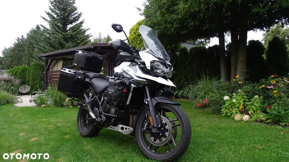Triumph Tiger - 12