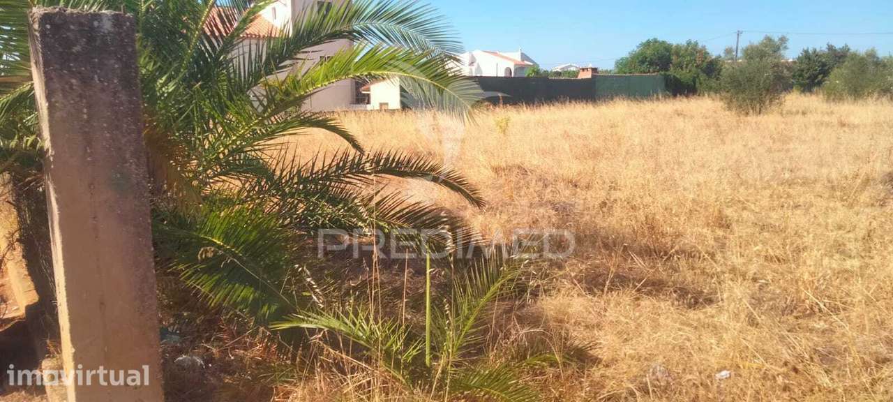 Terreno Agrícola com 2.700 m2  na Patâ de Baixo Albufeira - Grande imagem: 2/4
