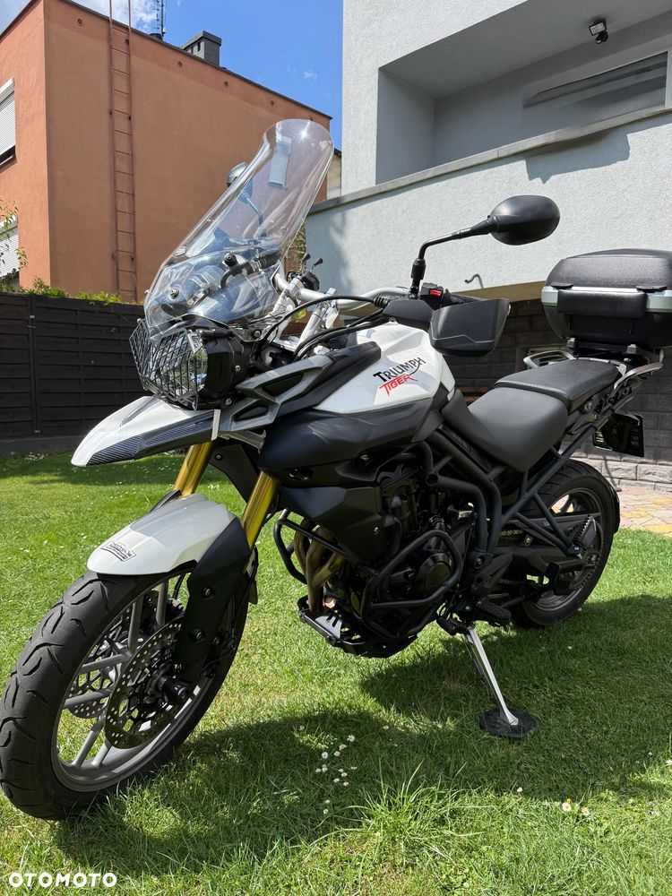 Triumph Tiger - 5