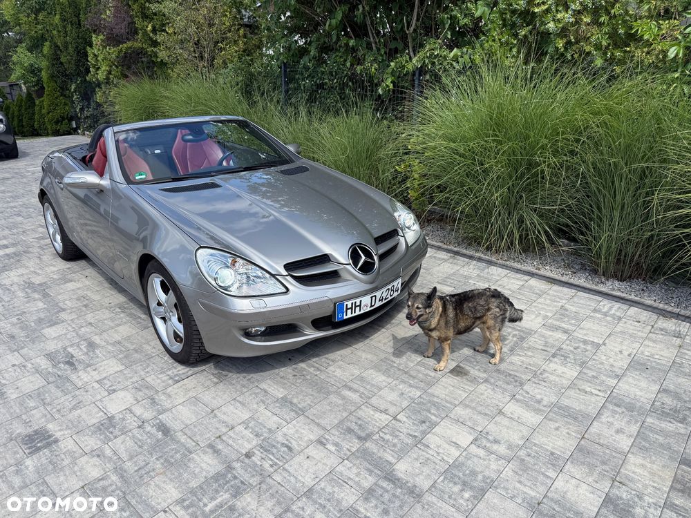 Mercedes-Benz SLK - 1