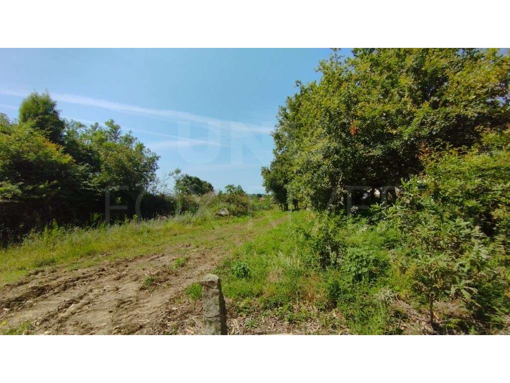 Terreno para Construção- Areosa, Viana do Castelo - Grande imagem: 4/6