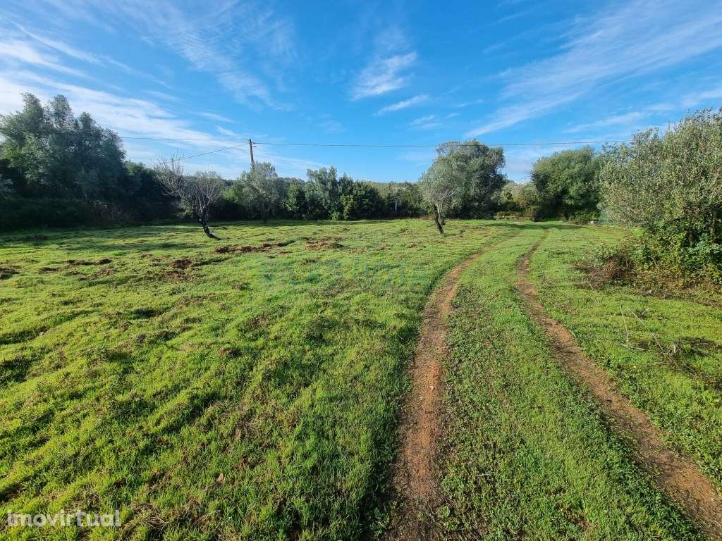 Terreno Misto com Projeto Aprovado a apenas 5 minutos do centro de ... - Grande imagem: 3/12