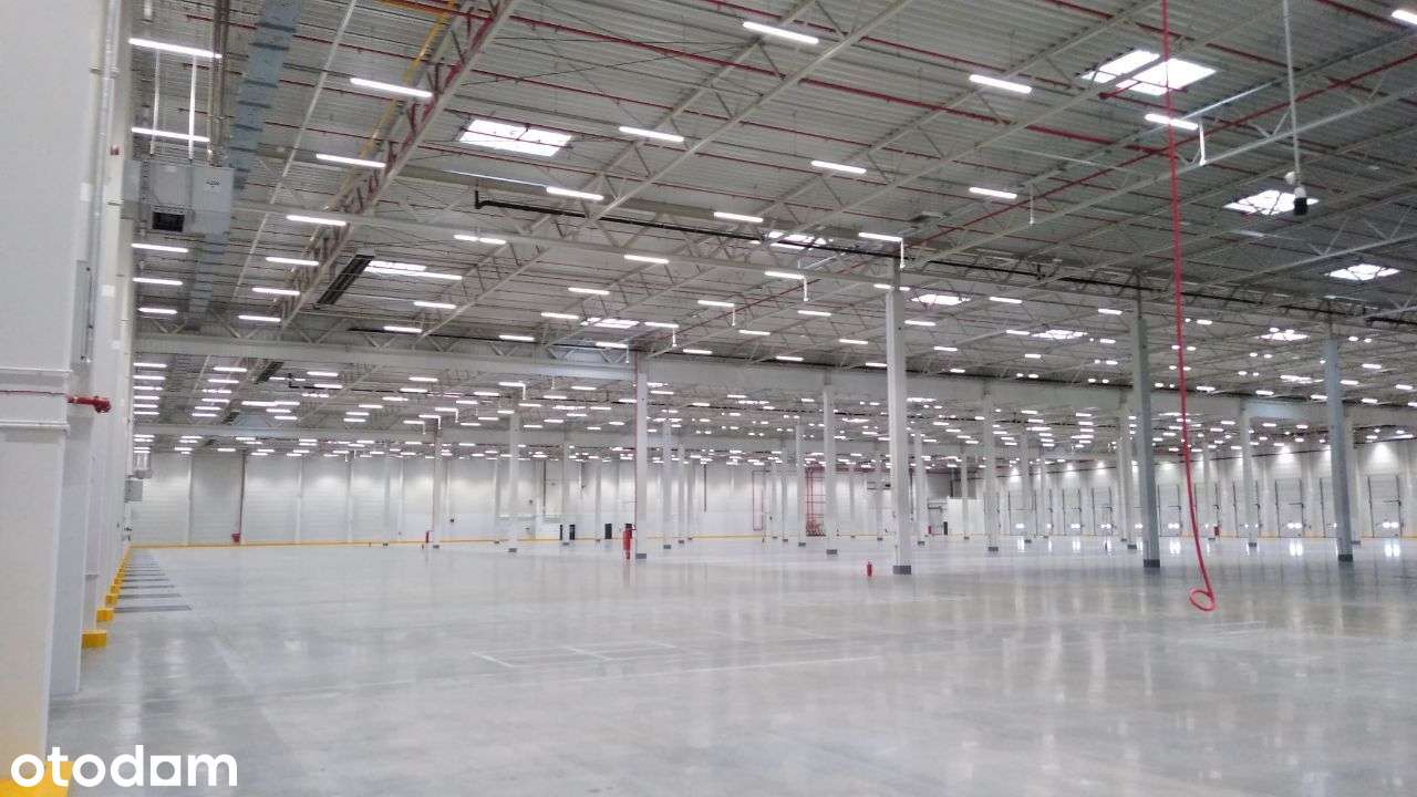 Nowoczesny magazyn Poznań 6500 m2 |Bez prowizji - Pełny obrazek: 3/4