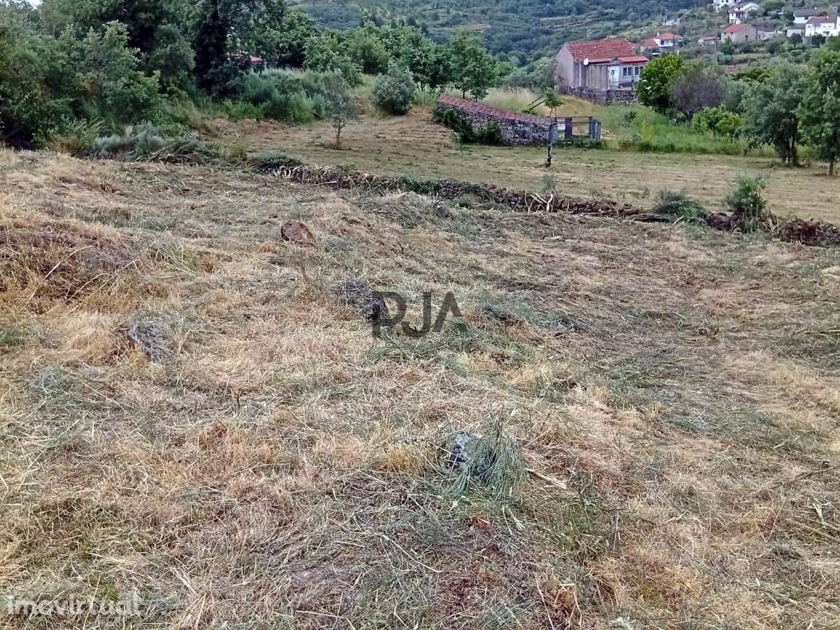 Terreno agrícola em Matança, Fornos de Algodres - Grande imagem: 3/8