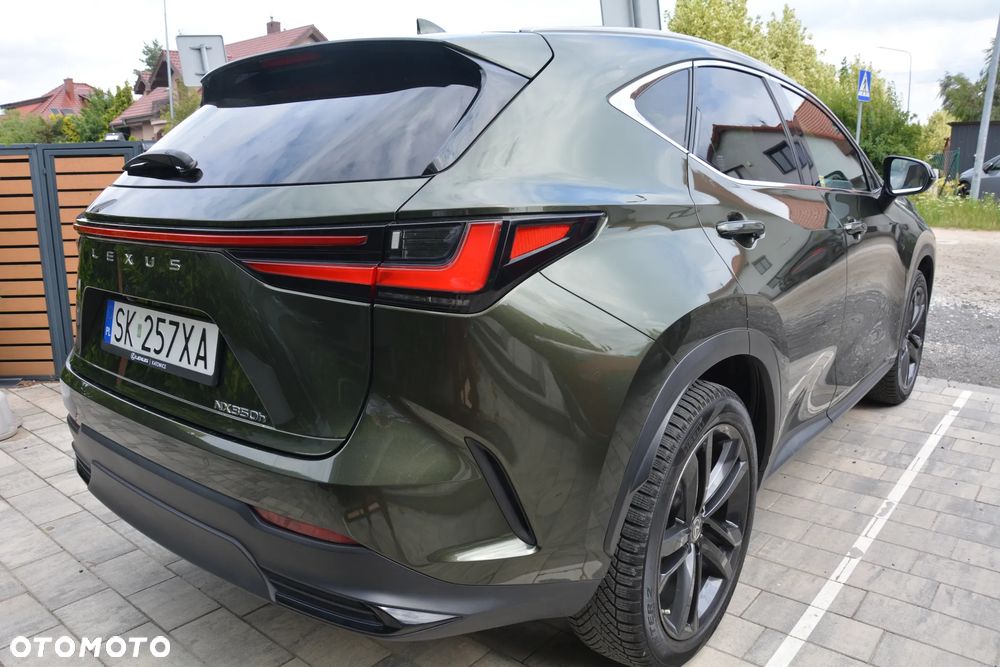 Lexus NX - 19