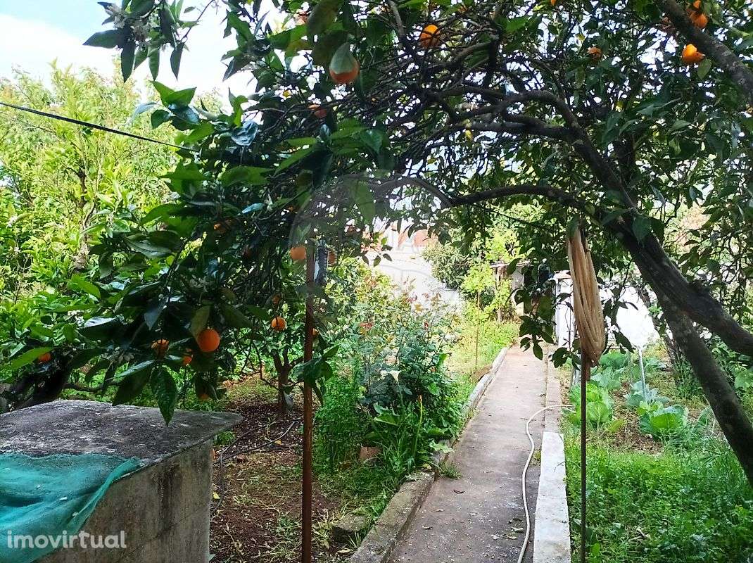 Moradia T2 para venda - Grande imagem: 3/20