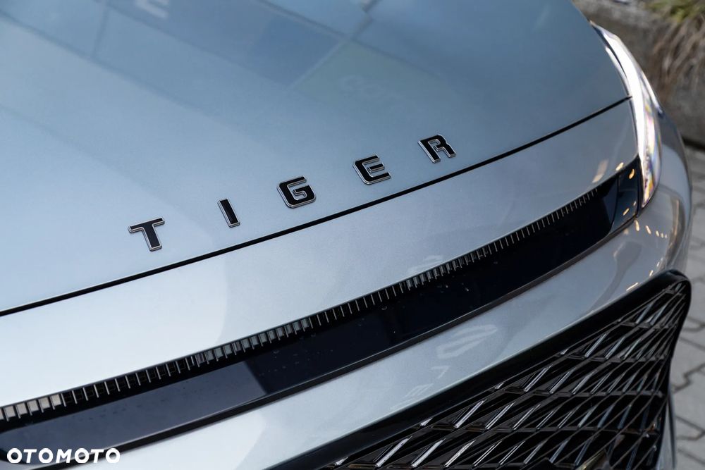 DR MOTOR TIGER SIX - 8