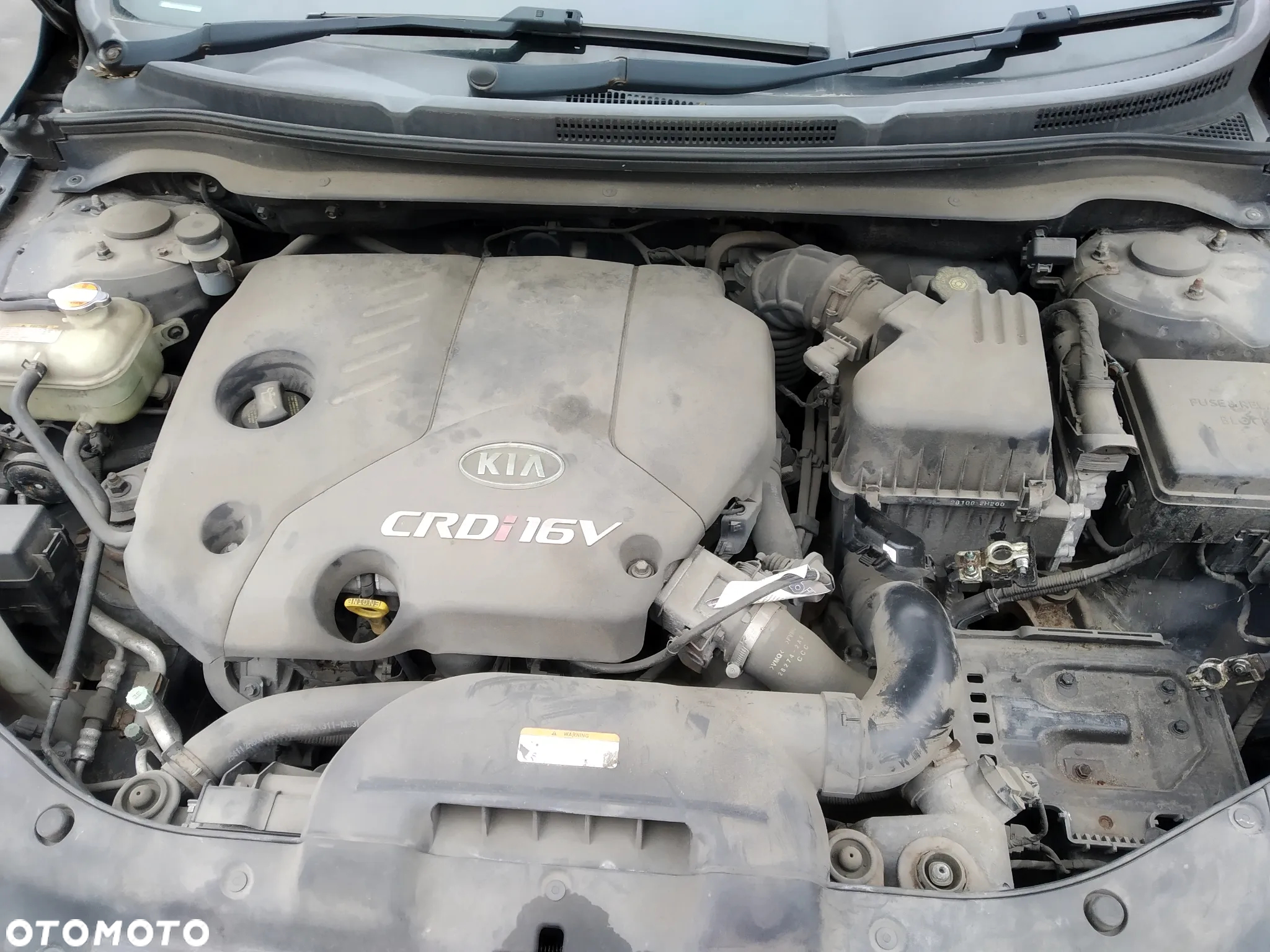 KIA CEED I 1.6 CRDI 06 - 09 - DRZWI PRZÓD TYL LEWE PRAWE UK 1K - 34