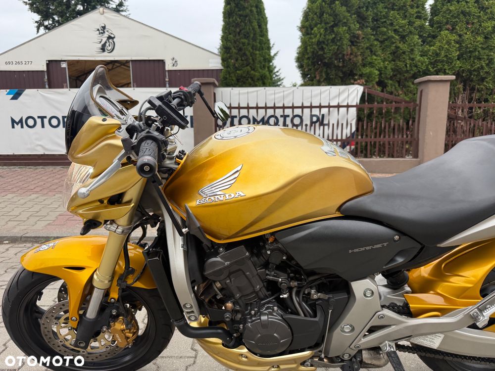 Honda Hornet - 19