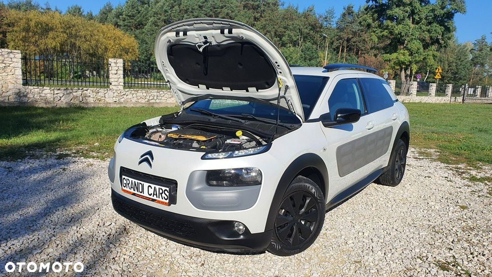 Citroën C4 Cactus - 30