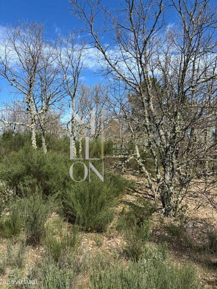 Terreno com 3 hectares às portas da cidade da Guarda - Grande imagem: 2/7