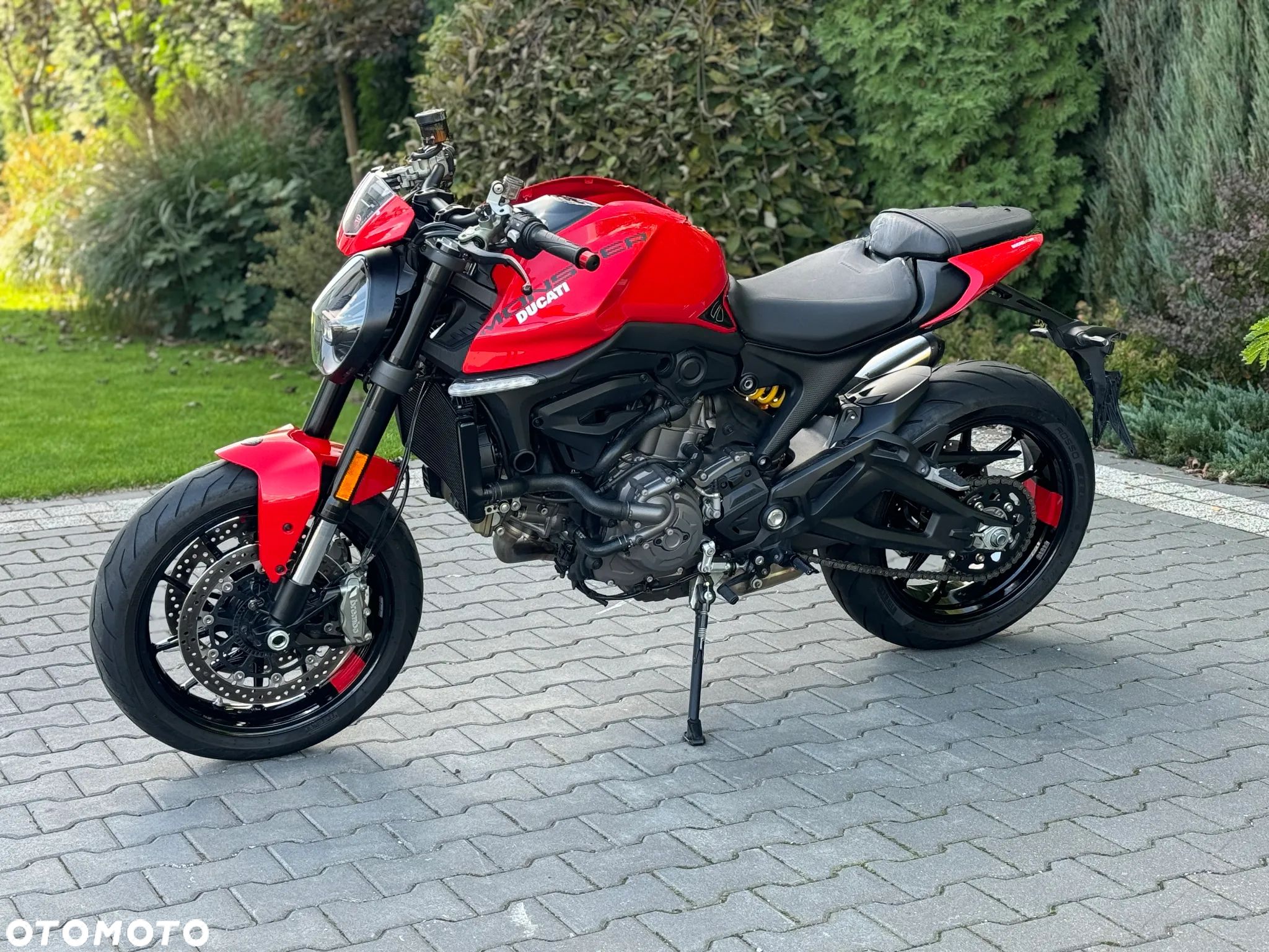 Ducati Monster - 1